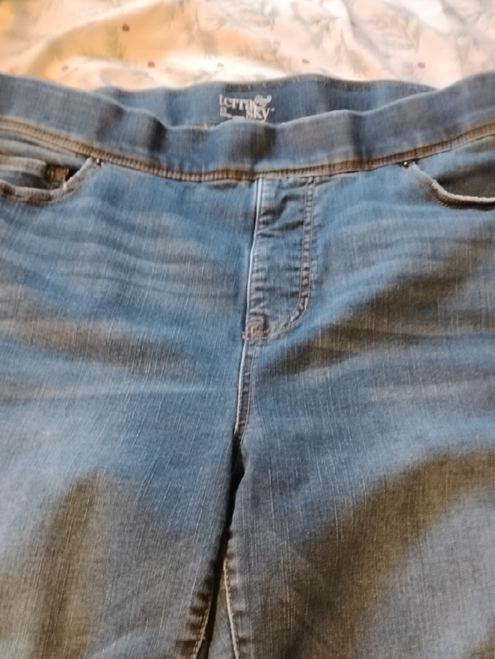 Terra & Sky Women's Blue Stretch Slim Jeggings